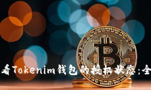如何查看Tokenim钱包的授权状态:全面指南