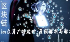 Tokenim众筹广播超时:原因解析与解决方案