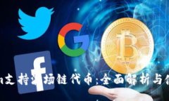 双/双Tokenim支持波场链代币:全面解析与使用指南