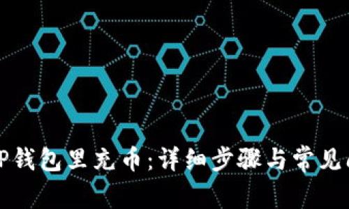 如何往TP钱包里充币:详细步骤与常见问题解答