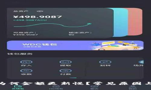 :TP钱包:为何金额更新慢?常见原因与解决方案