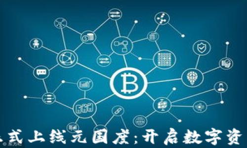 TP钱包正式上线元国度:开启数字资产新篇章