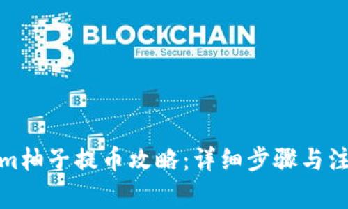 Tokenim柚子提币攻略:详细步骤与注意事项