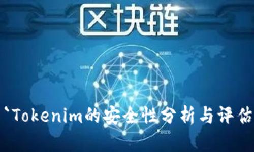 `Tokenim的安全性分析与评估