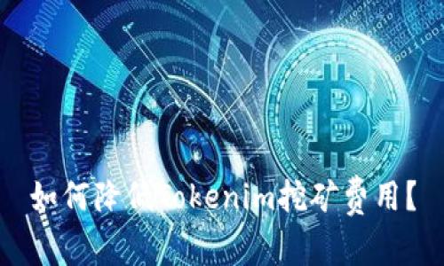 如何降低Tokenim挖矿费用?