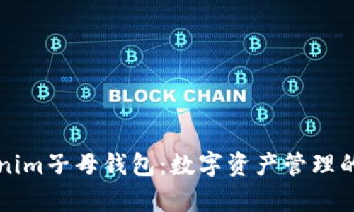 深入解析Tokenim子母钱包:数字资产管理的创新解决方案