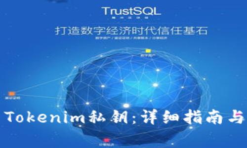 如何导出Tokenim私钥:详细指南与注意事项