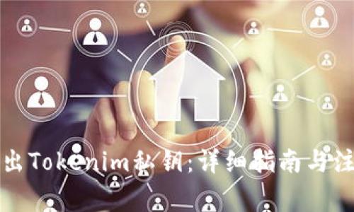 如何导出Tokenim私钥:详细指南与注意事项