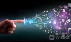 比特币钱包种类及其数量一览:全面解析比特币