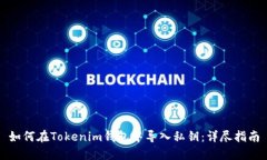 如何在Tokenim钱包中导入私钥:详尽指南