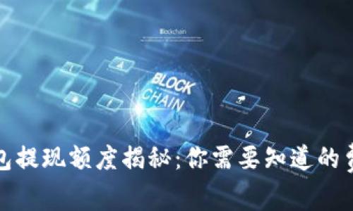 比特币钱包提现额度揭秘:你需要知道的费用和限制