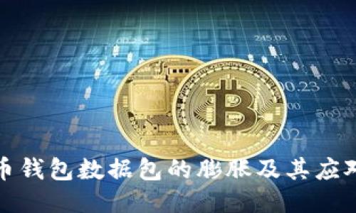 比特币钱包数据包的膨胀及其应对策略
