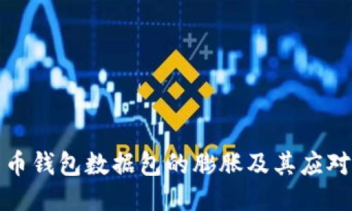 比特币钱包数据包的膨胀及其应对策略