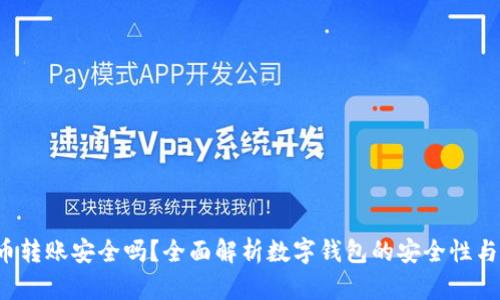 “Uni币转账安全吗?全面解析数字钱包的安全性与风险”
