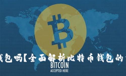 必须下载比特币钱包吗?全面解析比特币钱包的重要性和选择指南