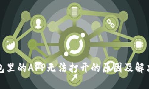 TP钱包里的APP无法打开的原因及解决方案