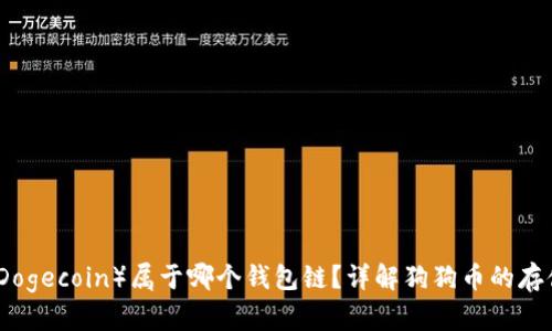 狗狗币(Dogecoin)属于哪个钱包链?详解狗狗币的存储与管理