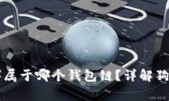 狗狗币（Dogecoin）属于哪个钱包链？详解狗狗币的