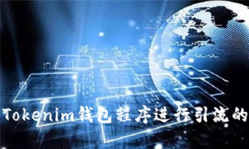 如何借用Tokenim钱包程序进行引流的有效策略