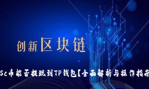 Sc币能否提现到TP钱包?全面解析与操作指南