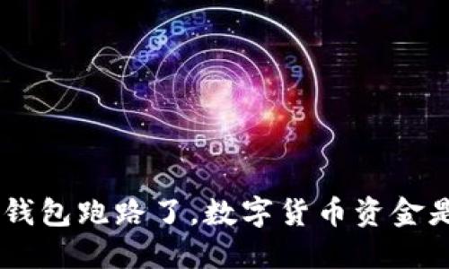 Tokenim钱包跑路了,数字货币资金是否安全?