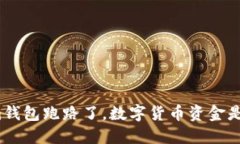 Tokenim钱包跑路了，数字货币资金是否