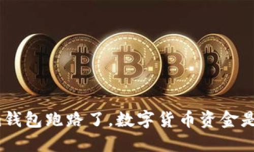 Tokenim钱包跑路了,数字货币资金是否安全?