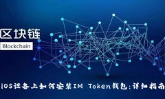 iOS设备上如何安装IM Token钱包：详细指