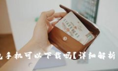 以太坊钱包手机可以下载吗？详细解析与选择指