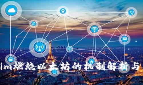 : Tokenim燃烧以太坊的机制解析与未来展望