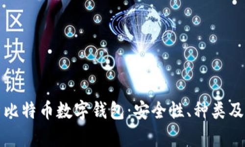 全面解析比特币数字钱包:安全性、种类及使用技巧