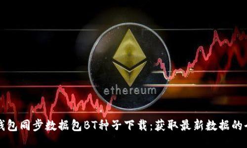 比特币钱包同步数据包BT种子下载:获取最新数据的全面指南