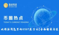文章: 比特派钱包里的USDT是什么？全面