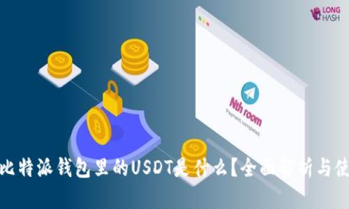 文章: 比特派钱包里的USDT是什么?全面解析与使用指南