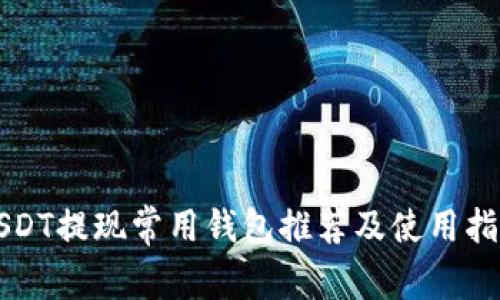 USDT提现常用钱包推荐及使用指南