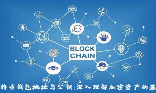 比特币钱包地址与公钥:深入理解加密资产的基础