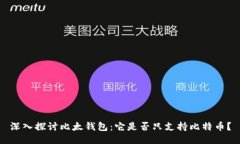 深入探讨比太钱包：它是否只支持比特