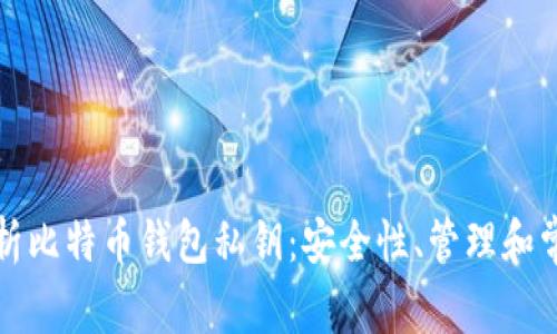 全面解析比特币钱包私钥:安全性、管理和常见误区