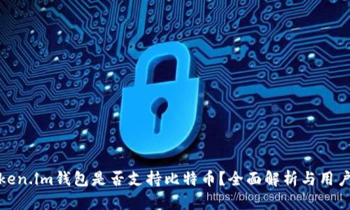 : Token.im钱包是否支持比特币?全面解析与用户指南
