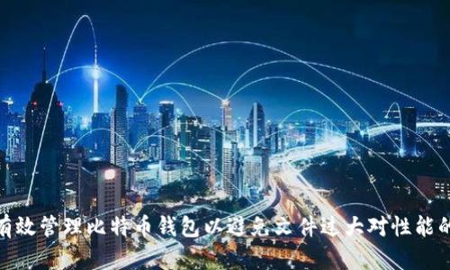 如何有效管理比特币钱包以避免文件过大对性能的影响