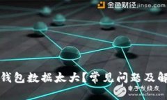 比特币钱包数据太大？常见问题及解决