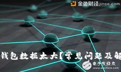 比特币钱包数据太大?常见问题及解决方案