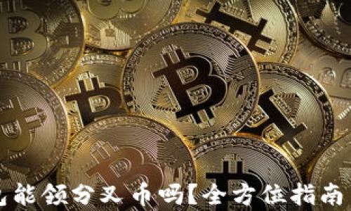 比特派钱包能领分叉币吗?全方位指南与深度分析