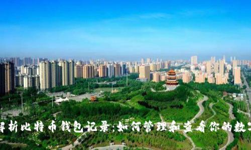 全面解析比特币钱包记录:如何管理和查看你的数字资产