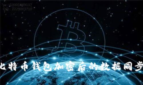 如何实现比特币钱包加密后的数据同步：详尽指南