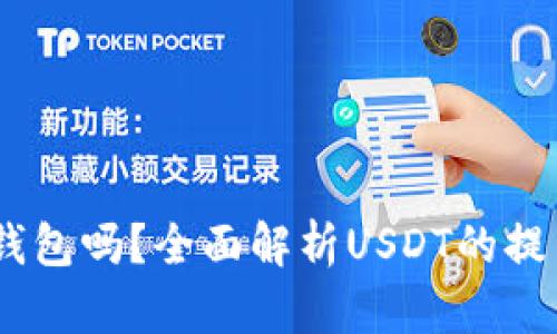 USDT能提到钱包吗？全面解析USDT的提币与存储方式