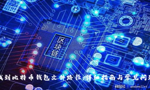 如何找到比特币钱包文件路径：详细指南与常见问题解答