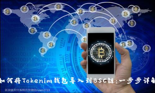 如何将Tokenim钱包导入到BSC链:一步步详解