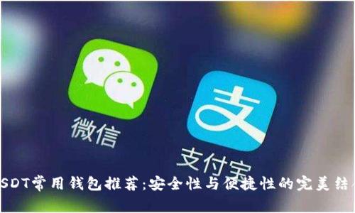 USDT常用钱包推荐：安全性与便捷性的完美结合