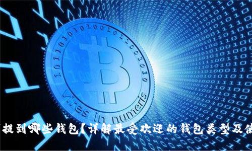 USDT可提到哪些钱包?详解最受欢迎的钱包类型及使用方法